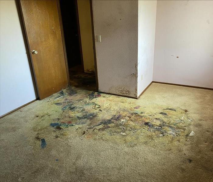 bedroom covered in mold