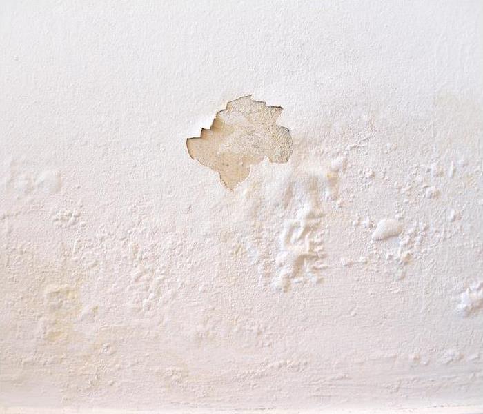 paint bubbling and peeling from wall